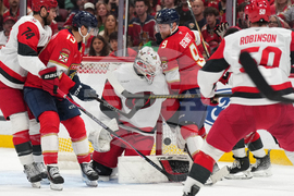 Hurricanes Panthers Hockey