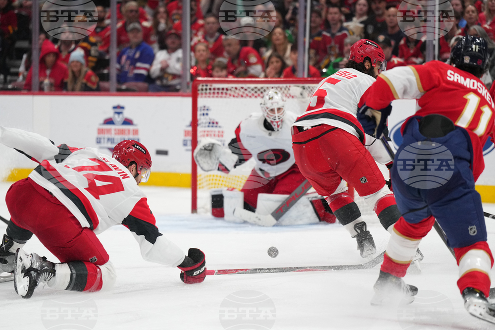 Hurricanes Panthers Hockey