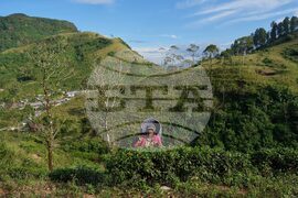 APTOPIX Climate Sri Lanka Cyclone Displacement