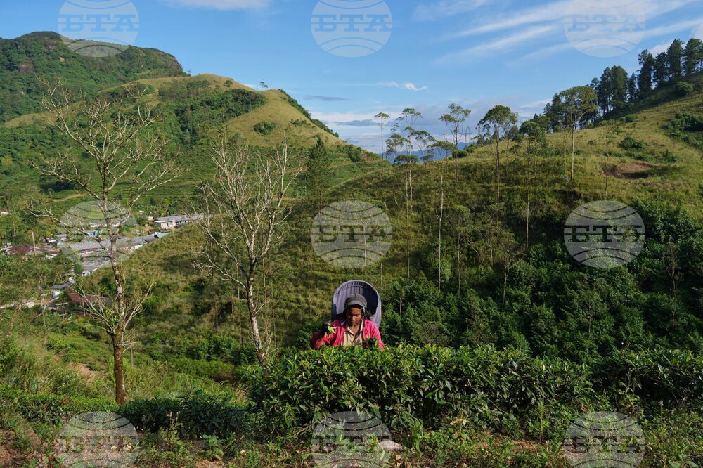 APTOPIX Climate Sri Lanka Cyclone Displacement