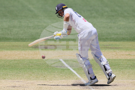 Australia England Cricket