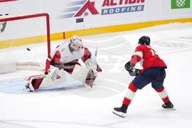 Hurricanes Panthers Hockey