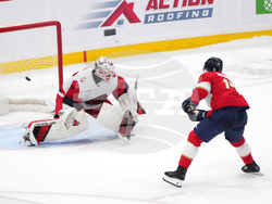 Hurricanes Panthers Hockey