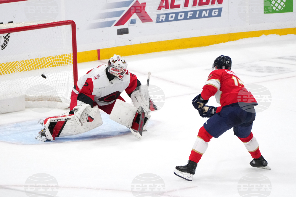 Hurricanes Panthers Hockey