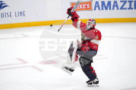 Hurricanes Panthers Hockey