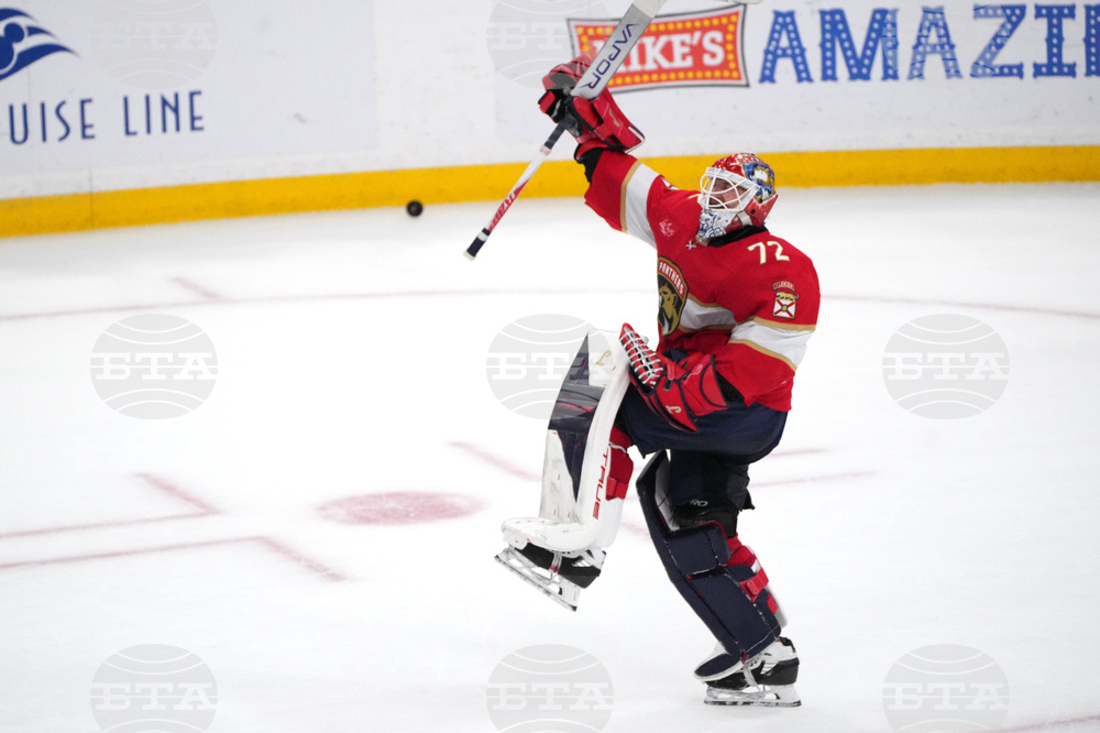 Hurricanes Panthers Hockey