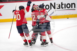 Hurricanes Panthers Hockey