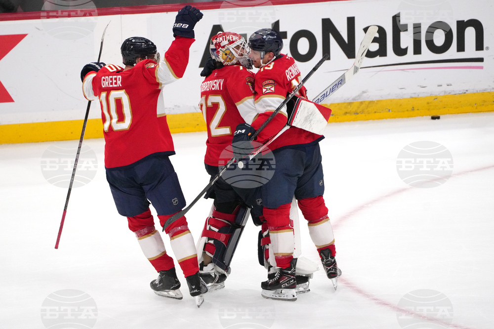 Hurricanes Panthers Hockey