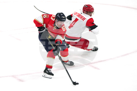 Hurricanes Panthers Hockey