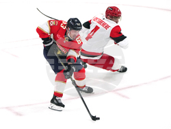 Hurricanes Panthers Hockey