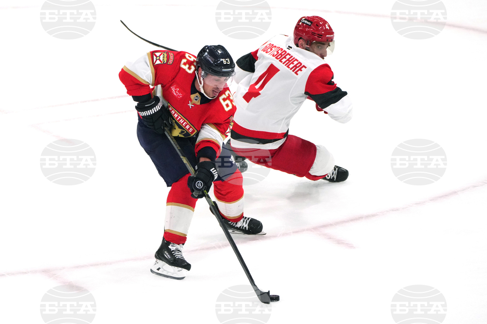 Hurricanes Panthers Hockey