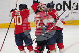 Hurricanes Panthers Hockey