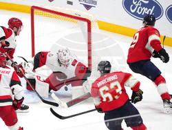 Hurricanes Panthers Hockey