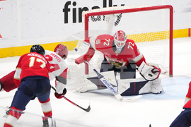 Hurricanes Panthers Hockey