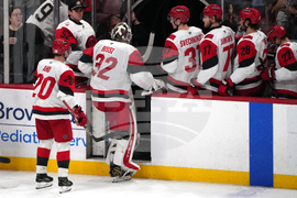 Hurricanes Panthers Hockey