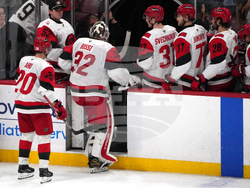 Hurricanes Panthers Hockey