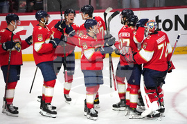 Hurricanes Panthers Hockey