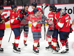 Hurricanes Panthers Hockey