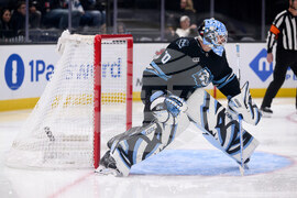 Devils Mammoth Hockey