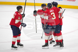 Hurricanes Panthers Hockey