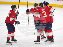 Hurricanes Panthers Hockey