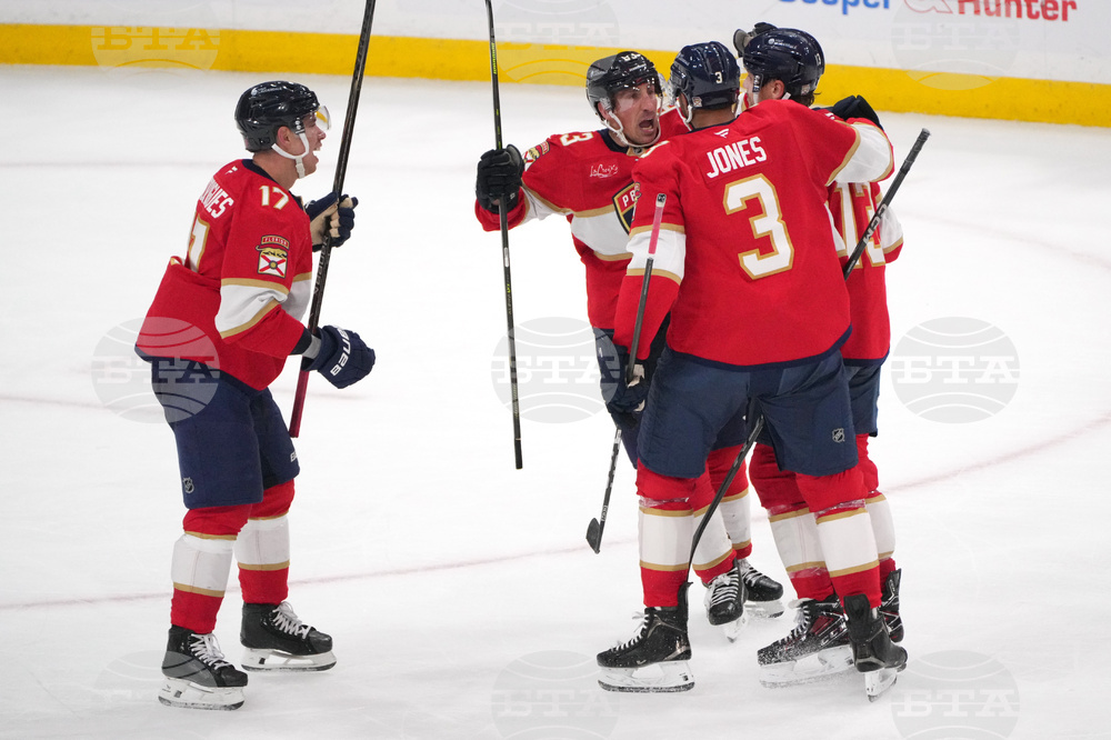 Hurricanes Panthers Hockey