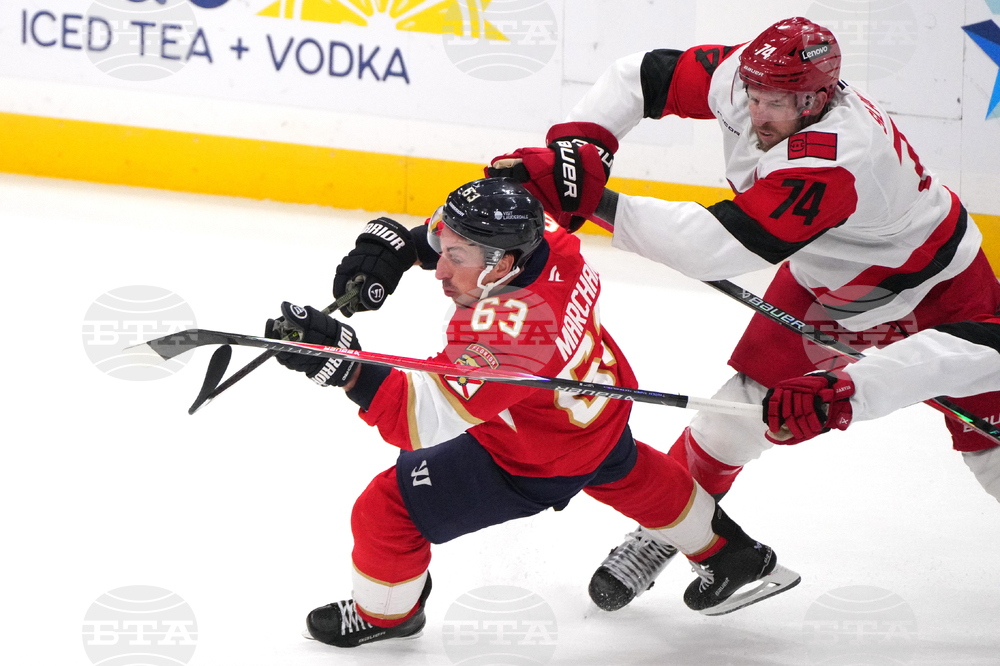 Hurricanes Panthers Hockey