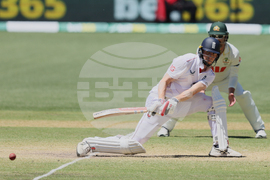 Australia England Cricket