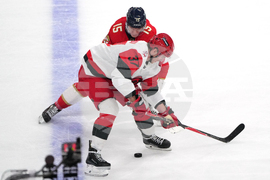 Hurricanes Panthers Hockey