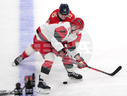 Hurricanes Panthers Hockey