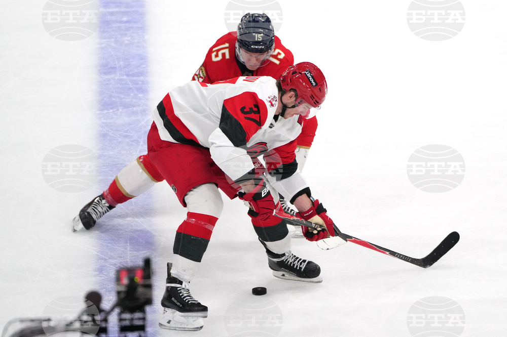 Hurricanes Panthers Hockey