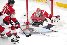 Hurricanes Panthers Hockey