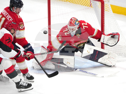 Hurricanes Panthers Hockey