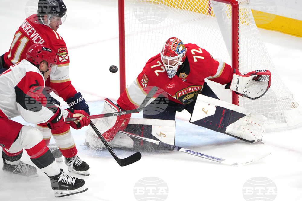 Hurricanes Panthers Hockey