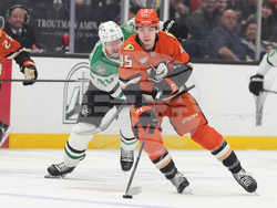 Stars Ducks Hockey