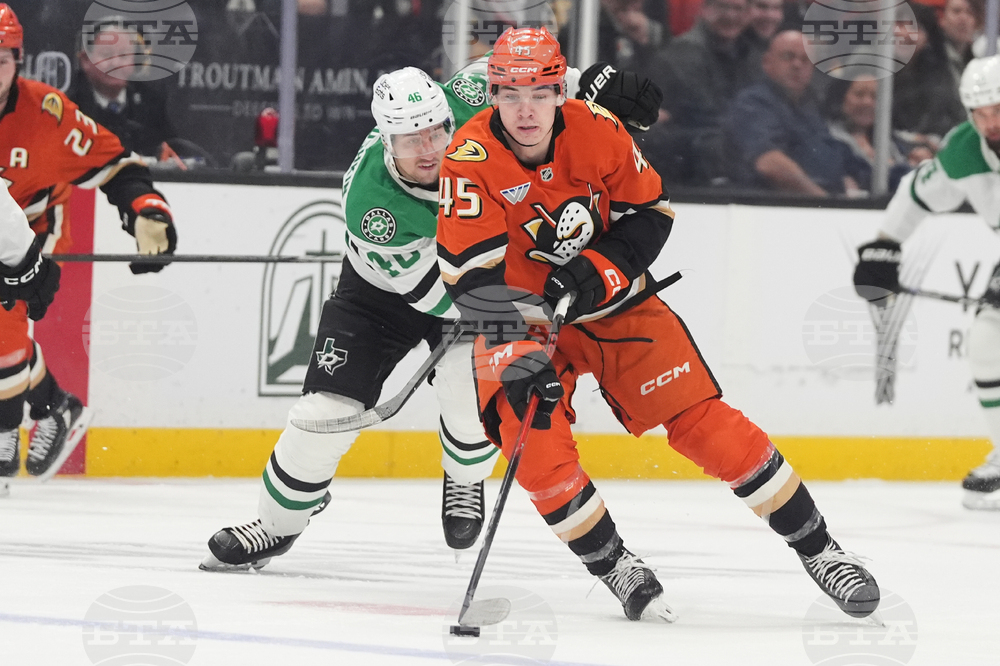 Stars Ducks Hockey