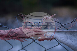 Digital Cage Nepal Photo Essay