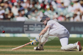 Australia England Cricket