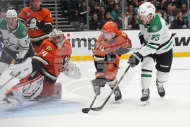 Stars Ducks Hockey