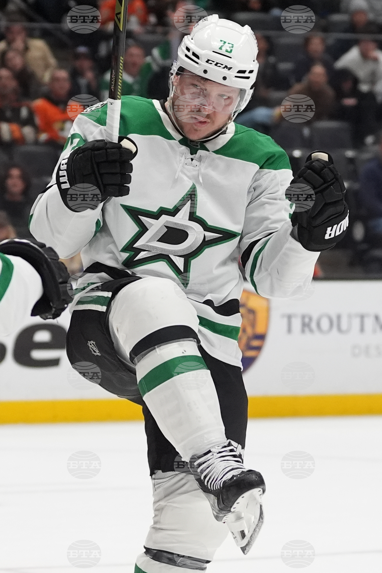 Stars Ducks Hockey