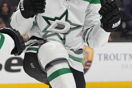 Stars Ducks Hockey