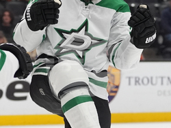 Stars Ducks Hockey