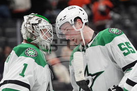 Stars Ducks Hockey