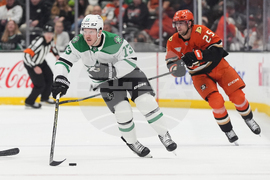 Stars Ducks Hockey