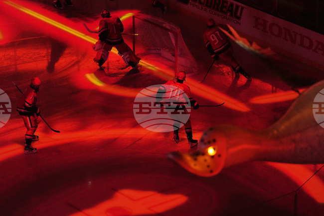 APTOPIX Stars Ducks Hockey