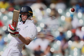 Australia England Cricket