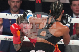 Baumgardner Beaudoin Boxing