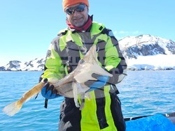 Снимка: Елка Василева, Български антарктически институт