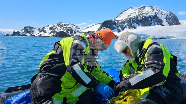 Морските биолози в българската антарктическа база привършват теренната работа в акваторията на остров Ливингстън