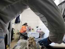 Снимка: Елка Василева, Български антарктически институт